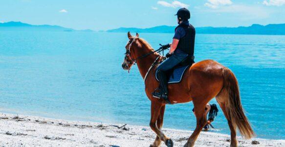 Horse Riding