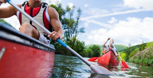 Our Kayak Boat Tour is Just for You