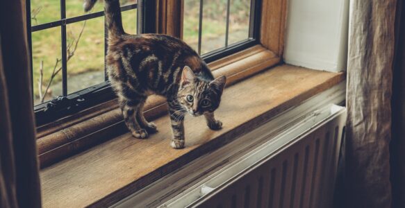 Aluminium kozijnen zijn een maatwerkoplossing voor elke woning